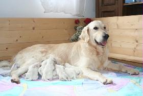 IMG_1444.JPG BARBIE + BABIES.jpg